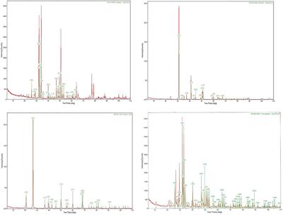Surface Electrical Behaviors of Apatite, Dolomite, Quartz, and Phosphate Ore